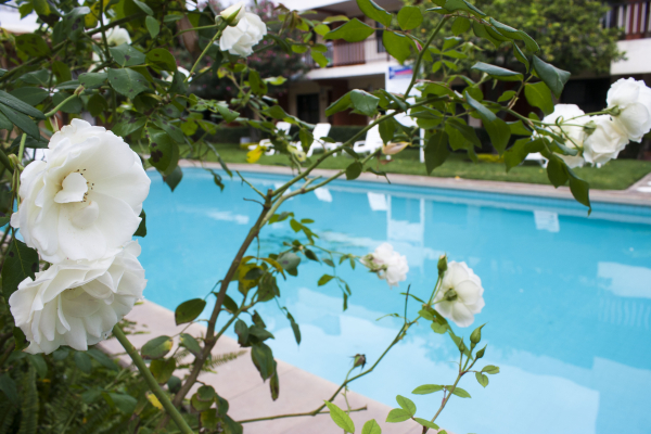 Best offers for Hotel Puerta Del Sol Guadalajara