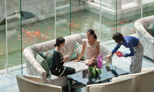 أفضل العروض ل  ووكسي