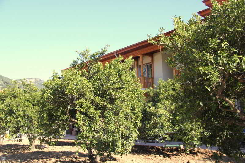 أفضل العروض ل كرماتومانابارت جوكوفا مارماريس