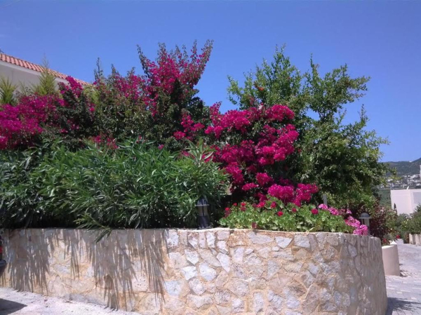 Best offers for Selini Villas Kolimvari