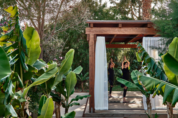 Best offers for Cretan Malia Park Malia