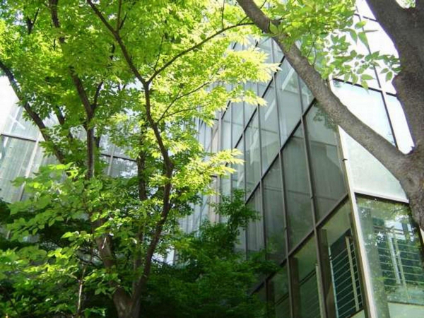 أفضل العروض ل Ark Hotel Royal Fukuoka Tenjin فوكووكا 