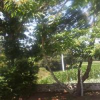 أفضل العروض ل ا منزل دا باستورا له استراده