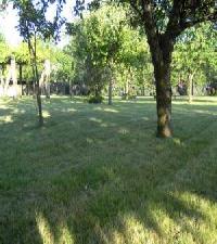 Best offers for Eido de Abaixo Ponteareas