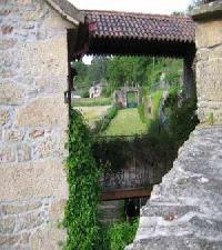 Best offers for Pardiñeiro de Agrosende Moana