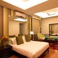 Best offers for ROYAL ORCHID PEPPERMINT Hyderabad