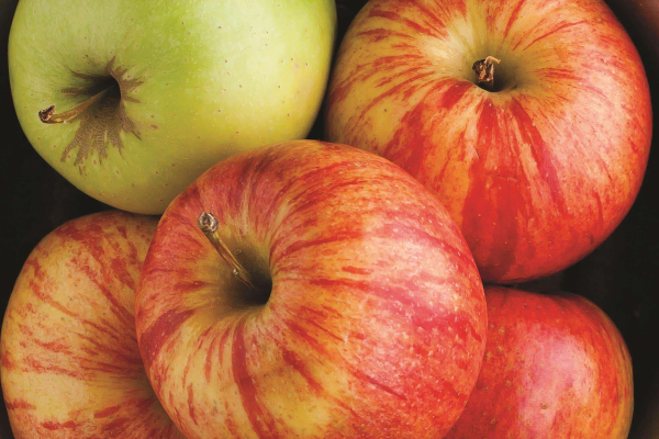 Best offers for La Quinta Inn & Suites Baltimore North Chestertown