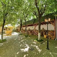 Best offers for Traube Medias Targu Mures