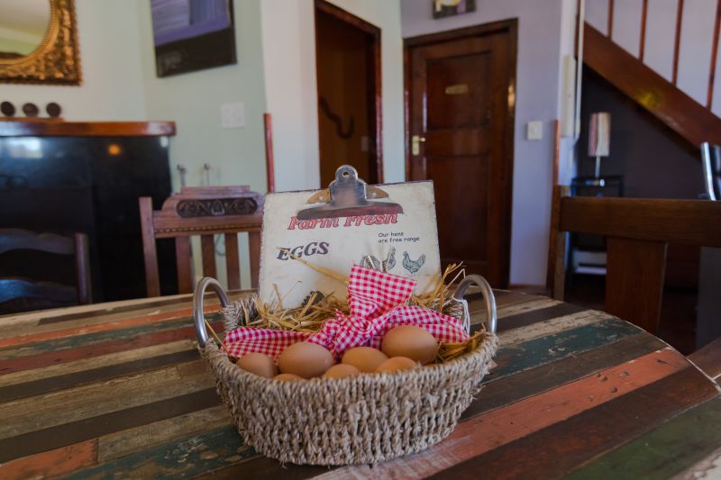 أفضل العروض ل سويت اوشن فيو جيست هاوس كيب تاون