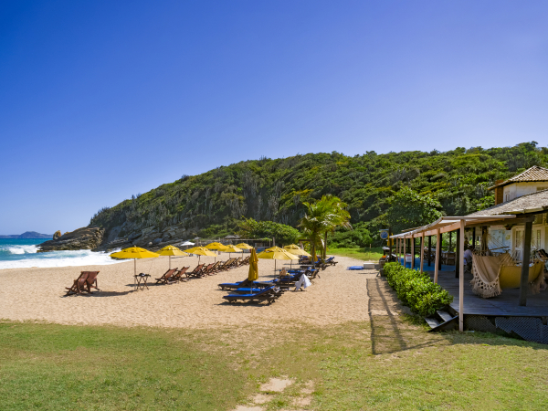 Best offers for Apa Pau Brasil Armacao Dos Buzios