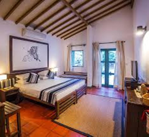 أفضل العروض ل  كولومبو