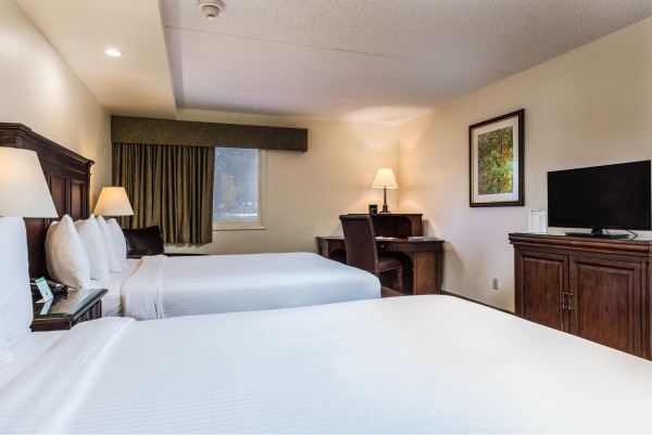 أفضل العروض ل فرجرين فندقات فيل فيل