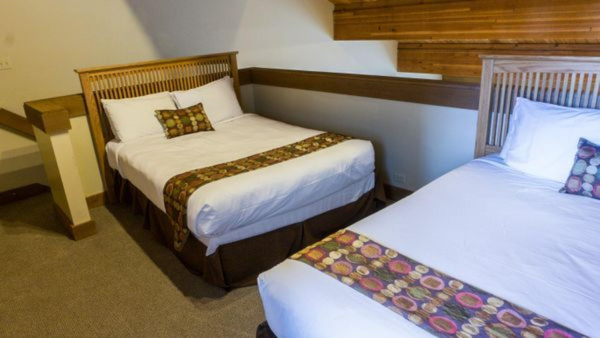 أفضل العروض ل  نورذستار 