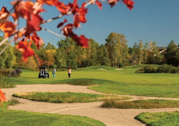 Best offers for Living Stone Golf Resort Collingwood