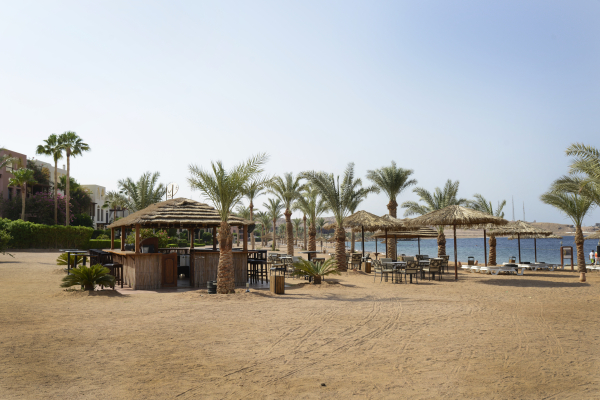 Best offers for Marina Plaza Tala Bay Alaqabah