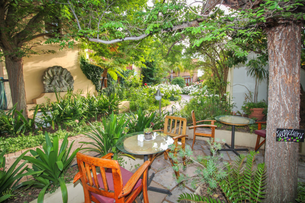 Best offers for Montagu Country Hotel Mossel Bay 