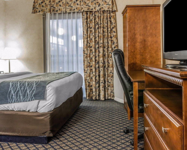 Best offers for Quality Inn & Suites Coldwater Area Coldwater 