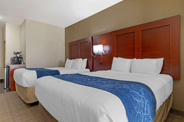 Best offers for Comfort Suites Gainesville Gainesville