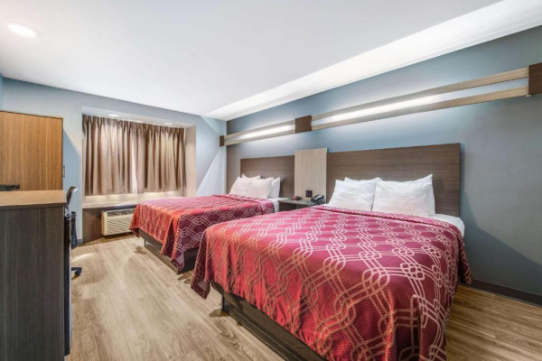 أفضل العروض ل سارستاي بلاس باى بست وسترن سفيرفيل سفيرفيل