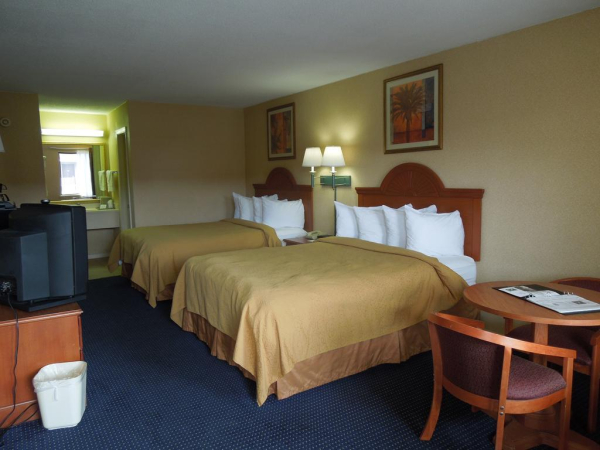 أفضل العروض ل ك يواليتيان ليتل كريك تشسابيك 