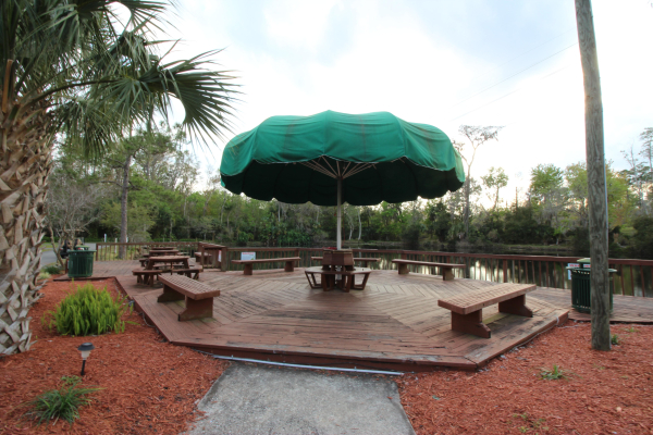 Best offers for Tropical Palms Resort & Campground Kissimmee