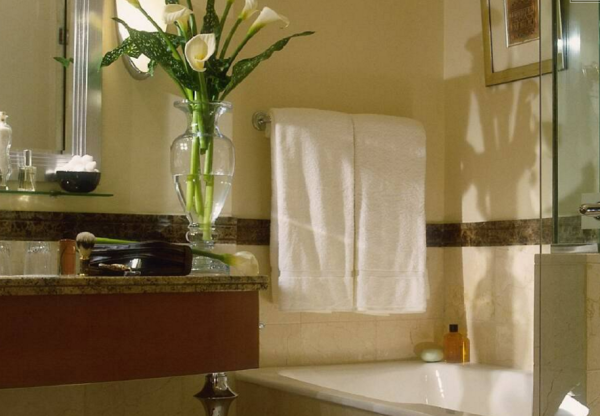 Best offers for Four Seasons Amman Amman