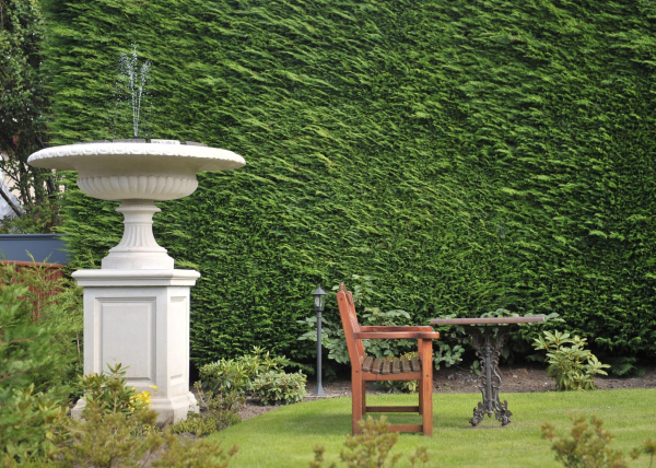 أفضل العروض ل فندق بريد هيلس إيديمبورج