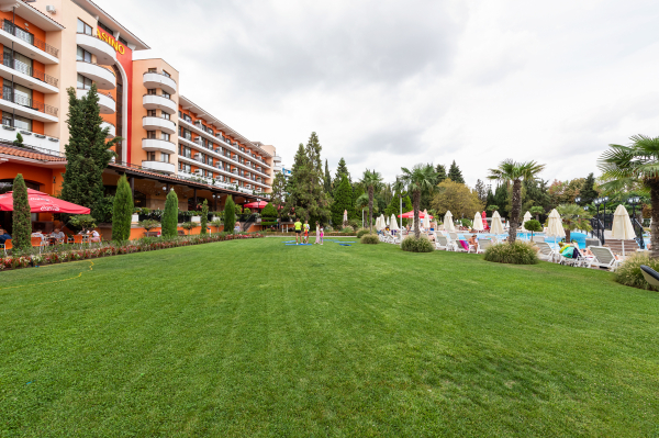 Best offers for Hrizantema SUNNY BEACH