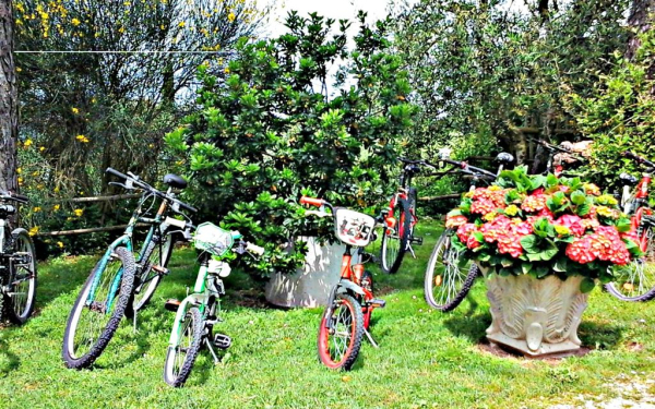 Best offers for Green Hotel Motel Varese