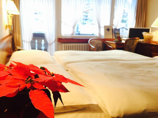 Best offers for Antares Zermatt