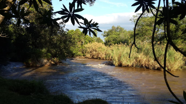 Best offers for Gecko Lodge Hazyview 