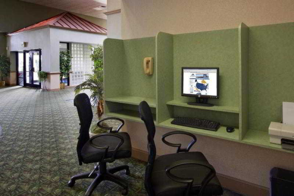 أفضل العروض ل امريكاس بست فاليو ان نو براونفلس 