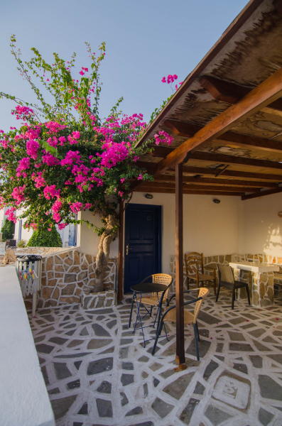 Best offers for Skala Ios Beach