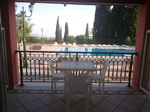 Best offers for Zante Dolphin Alykes