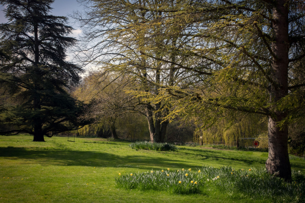 Best offers for Norton Park Hotel Spa and Manor Hous Winchester