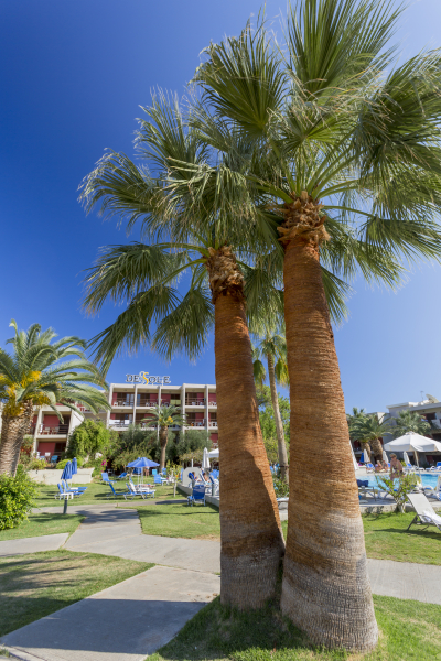 Best offers for Dessole Malia Beach Malia