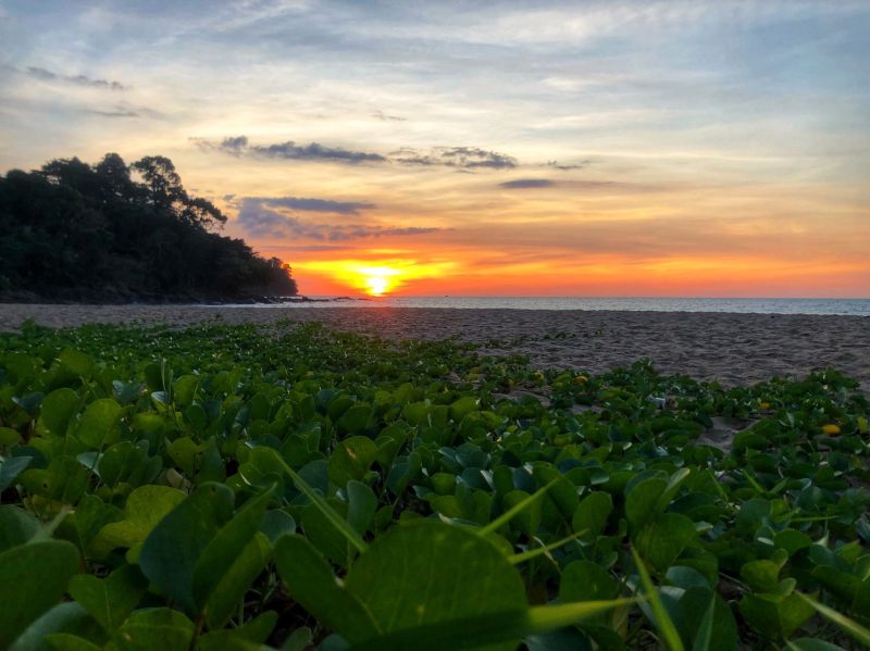 Best offers for Khao Lak Palm Beach Resort KHAO LAK