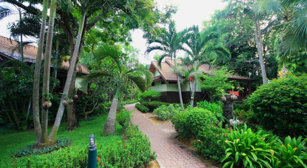 أفضل العروض ل  كو ساموي 