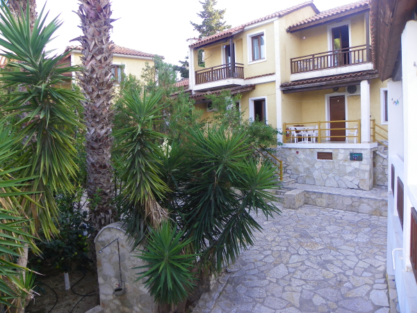 أفضل العروض ل  زاكينذوس 