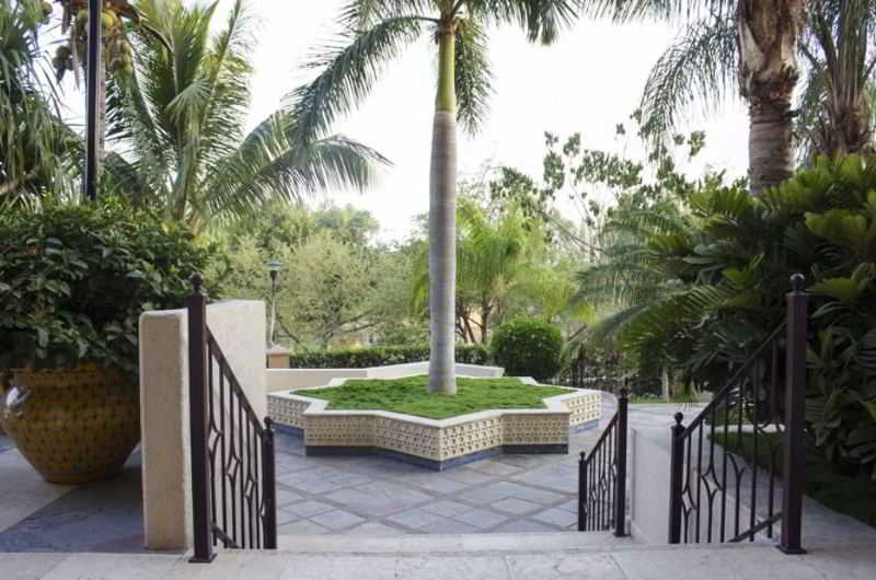 Best offers for Lucerna Culiacan Culiacan