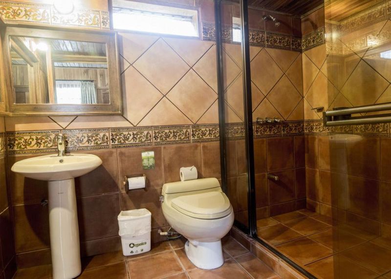 Best offers for Heliconia MONTEVERDE