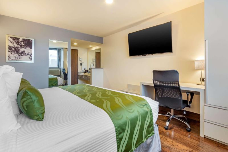 أفضل العروض ل قواليتي انن تشيواوا سان فرانثيسكو تشيواوا