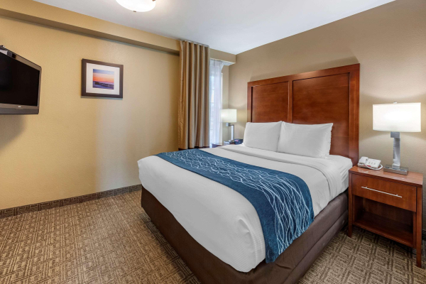 Best offers for Comfort Inn (Ventura) Ventura 