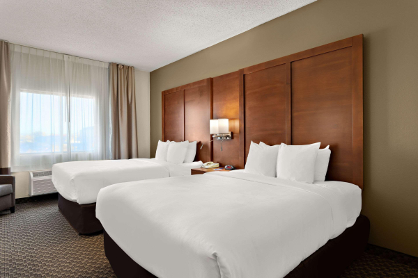 أفضل العروض ل ككومفورت سيويتس لاس كر يوسس لاس كروسيس 