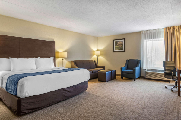 Best offers for Comfort Inn Airport Grand Rapids