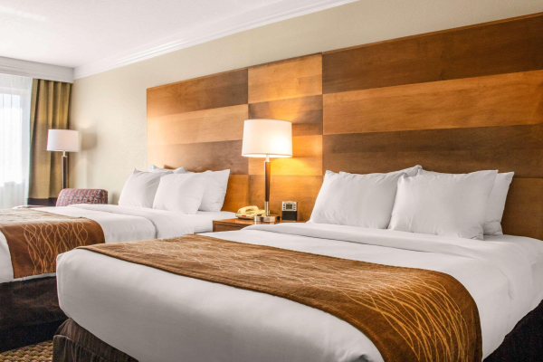 أفضل العروض ل كومفورت فندق و اجنحه فندقيه دارانجو مسا فرد ناشنال بارك