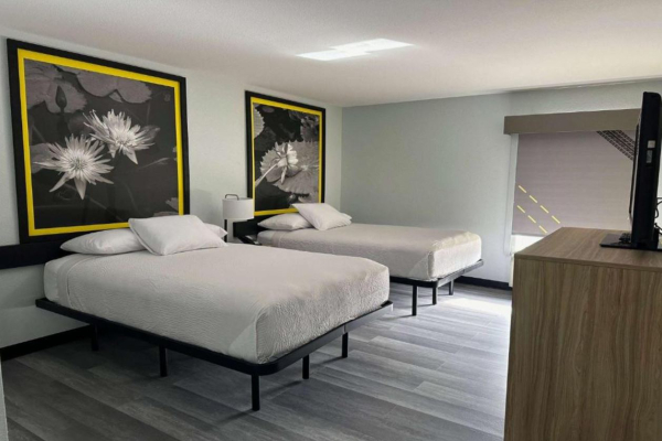 Best offers for Super 8 By Wyndham Alexandria La Alexandria