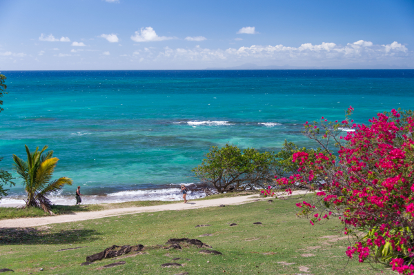 أفضل العروض ل  سينت لوك