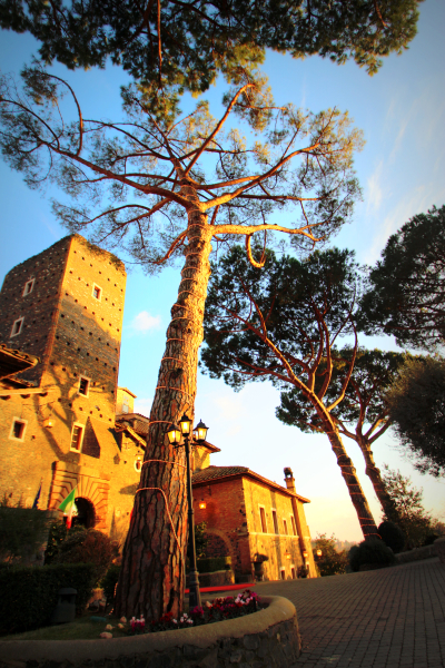 Best offers for Castello della Castelluccia Rome