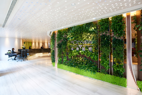 أفضل العروض ل ذ سيتيفيو كاولون